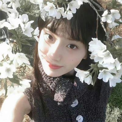 两面间谍
