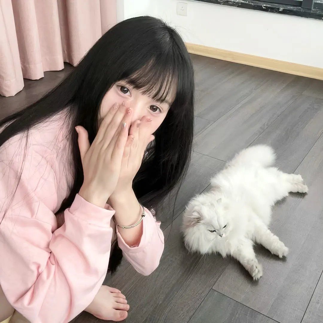 捣乱剧团的婚礼